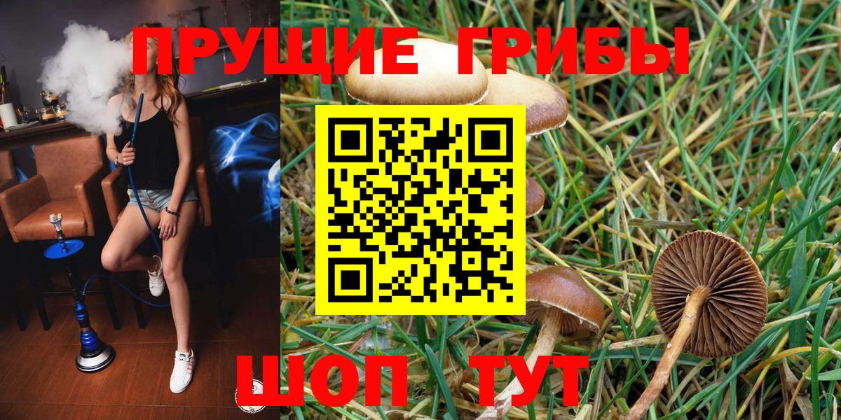 Ликино-Дулёво  что такое наркотик  Вход с VPN  Галлюциногенные грибы прущие грибы 
